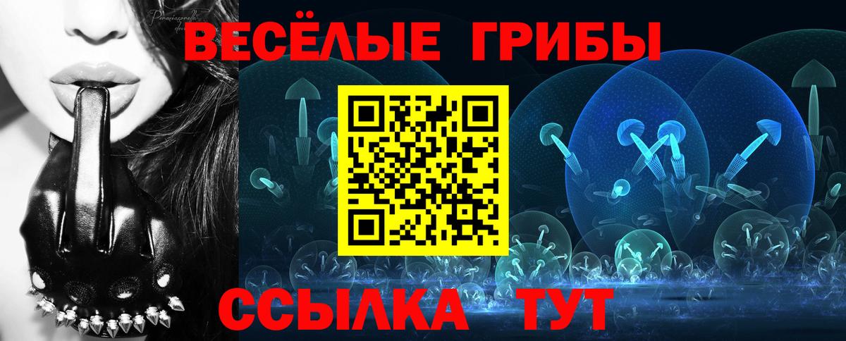 Галлюциногенные грибы Cubensis Людиново