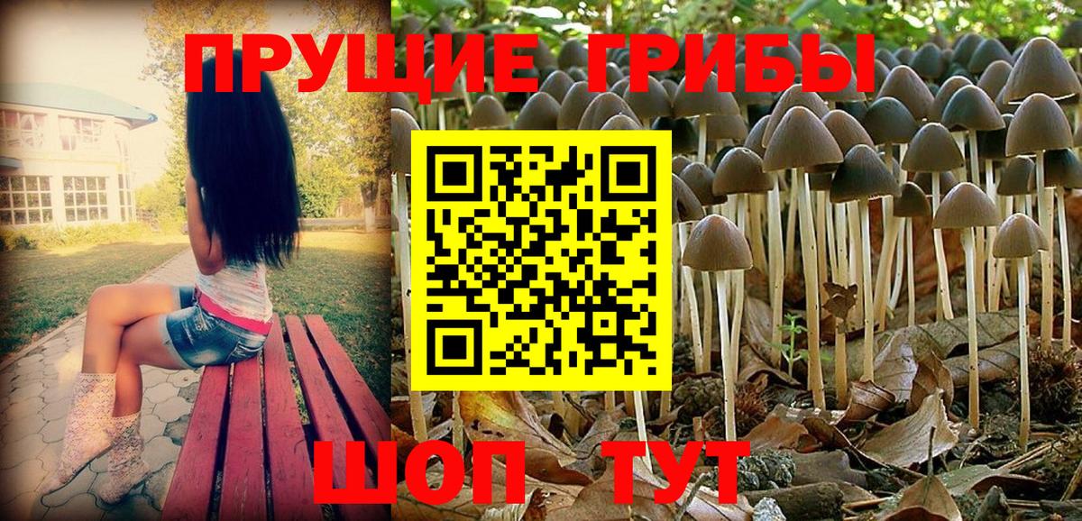 Людиново  Галлюциногенные грибы прущие грибы  Вход с VPN  Псилоцибиновые грибы прущие грибы 